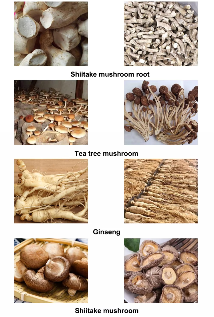 mushroom-dehydrator_08.jpg