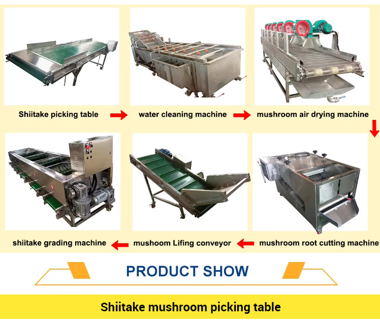 shiitake-grading-root-cutting-machine_03.jpg