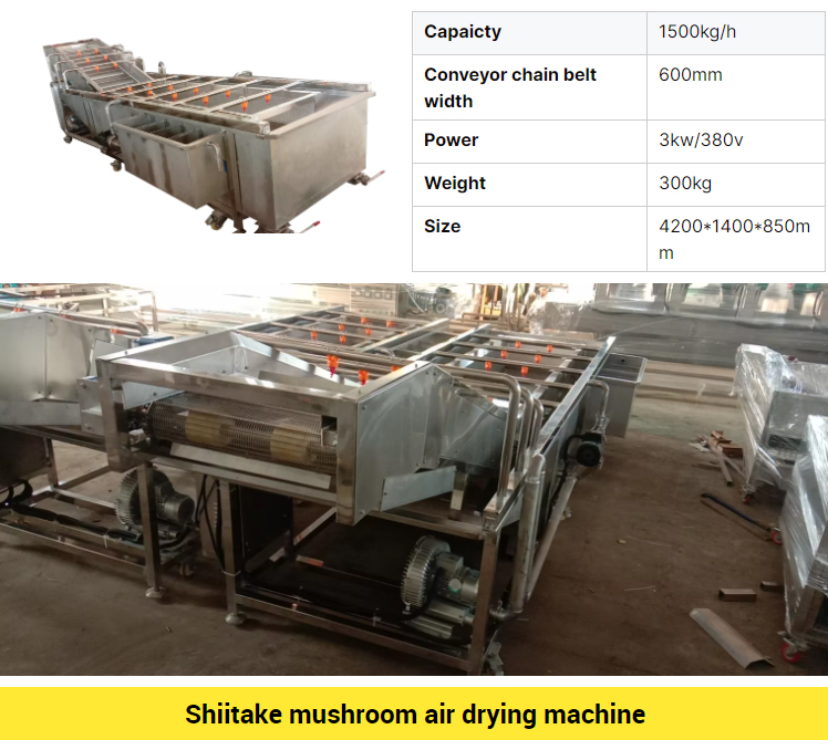 shiitake-grading-root-cutting-machine_07.jpg